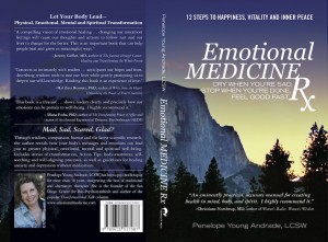 Emotional Medicine RX Cover